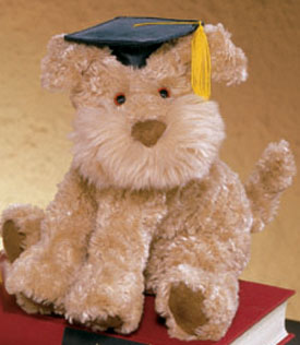 graduation puppy plush