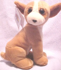 white chihuahua stuffed animal