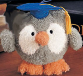 stuffed graduation owl