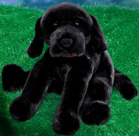 Adorable soft plush Labrador Retirever plush stuffed animals in black labs, chocolate labs and yellow labs in all sizes.