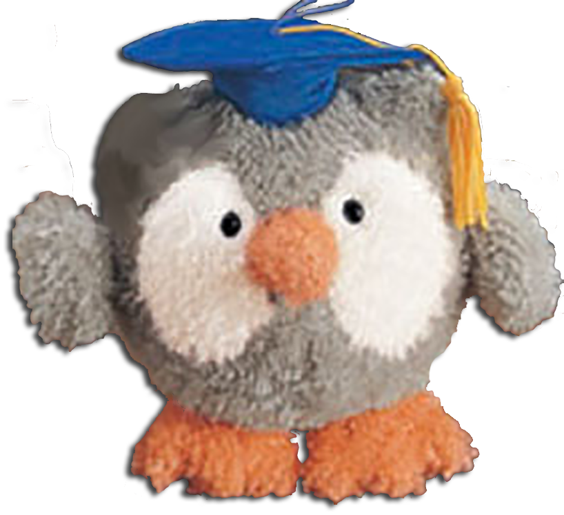 The wise ole Owl is the Graduate. These adorable graduation stuffed animals are perfect for a graduation gift idea.