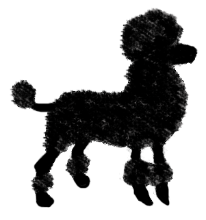 black poodle stuffed animal
