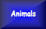 Here we have animals from figurines to stuffed animals in many types of creatures from Ants to Zebras