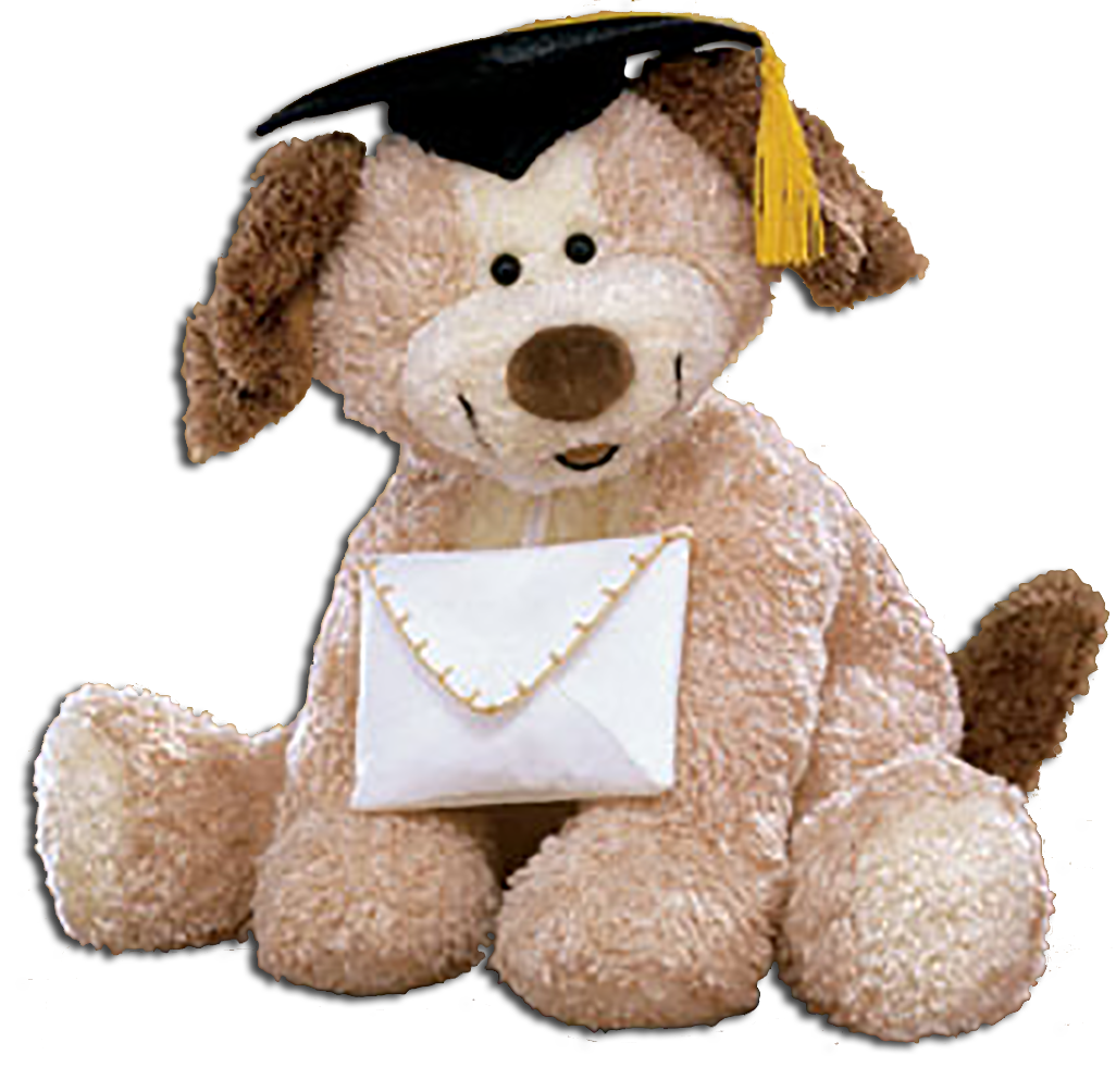 Graduation Puppy Dogs