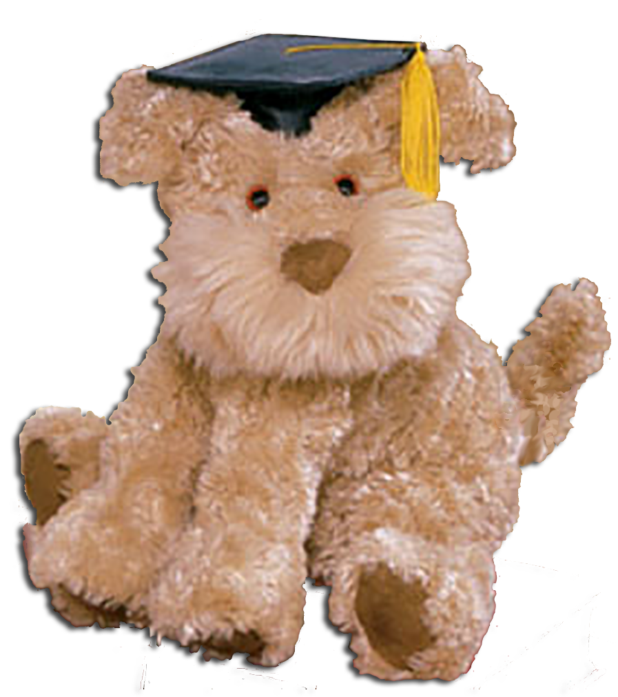 Graduation Airedale Terriers