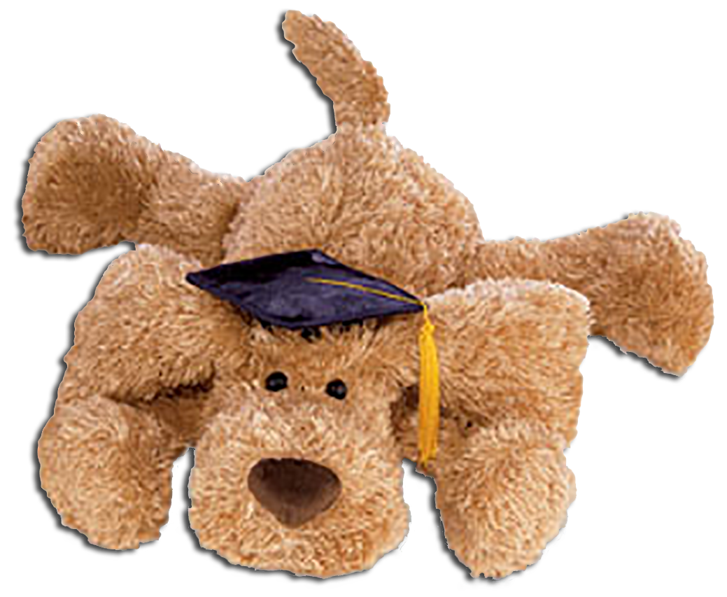 graduation puppy plush