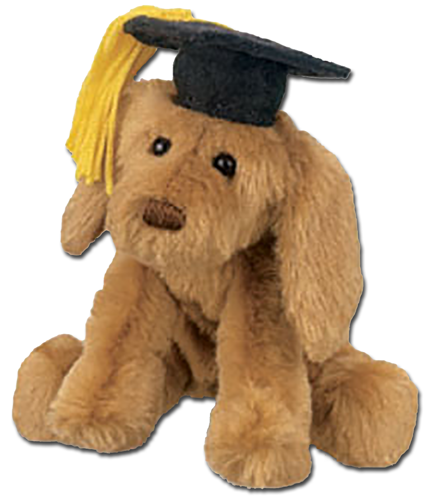 Graduation Stuffed Animal Puppy Dogs