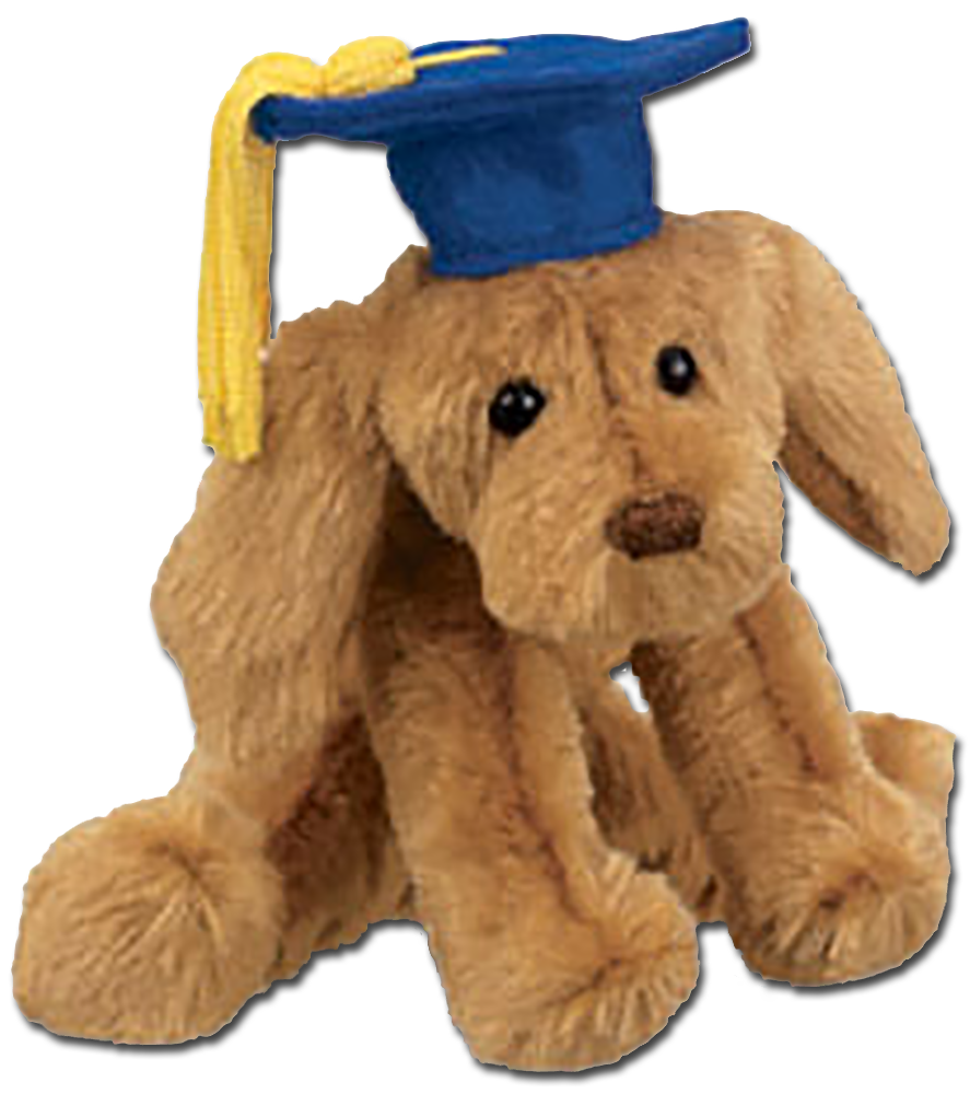 Graduation Labrador Retrievers