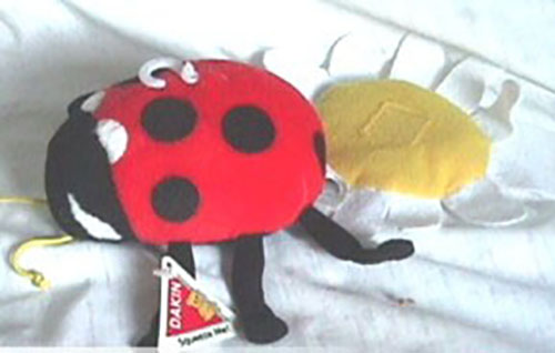 Gathered together for your enjoyment cuddly soft plush stuffed Ladybugs.