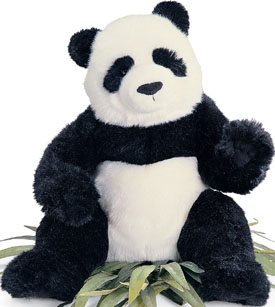  We have the cuddly soft plush stuffed Pandas that you can curl up with