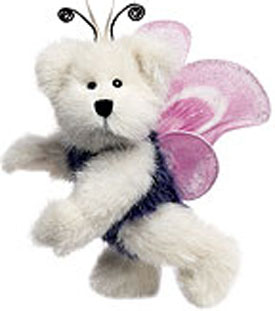 butterfly teddy