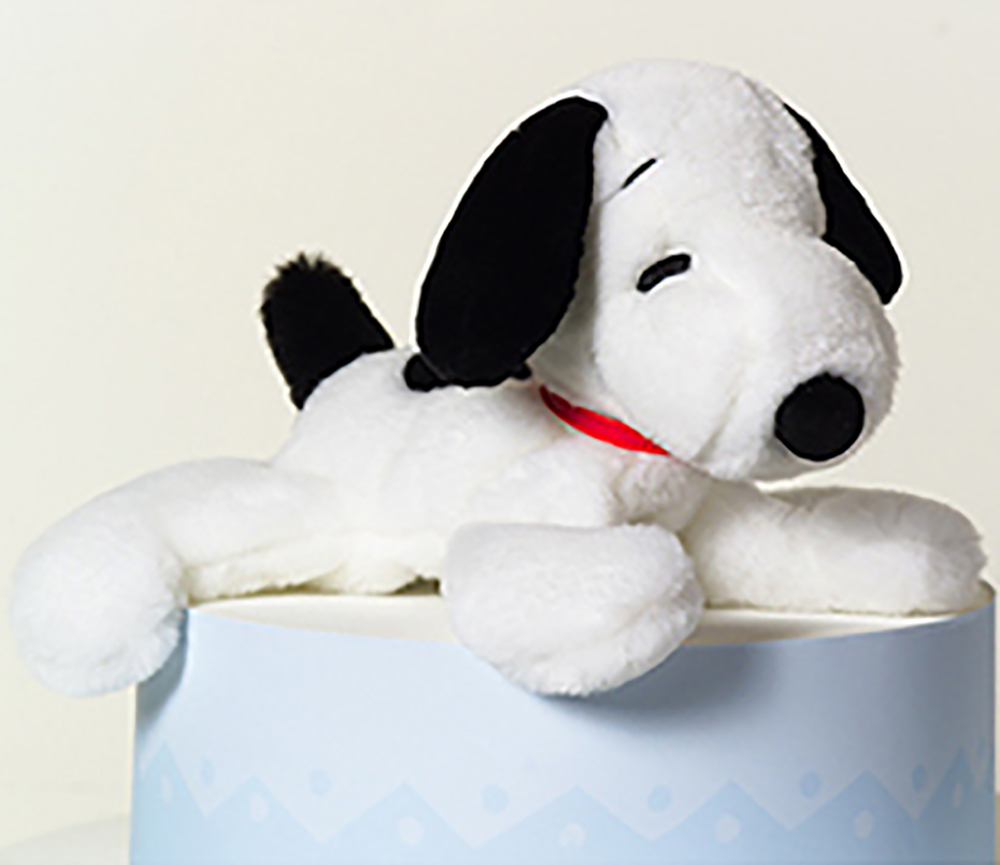 The always adorable Snoopy is soft cuddly stuffed animal and Charlie Brown is an adorable plush doll.