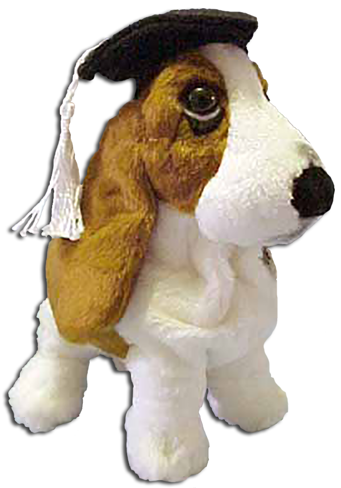 Graduation Hushpuppy Basset Hound Puppy Dog
- Introduced Spring 2001 and has
been retired
- Black Hat with White Tassel
- made by Applause / Dakin