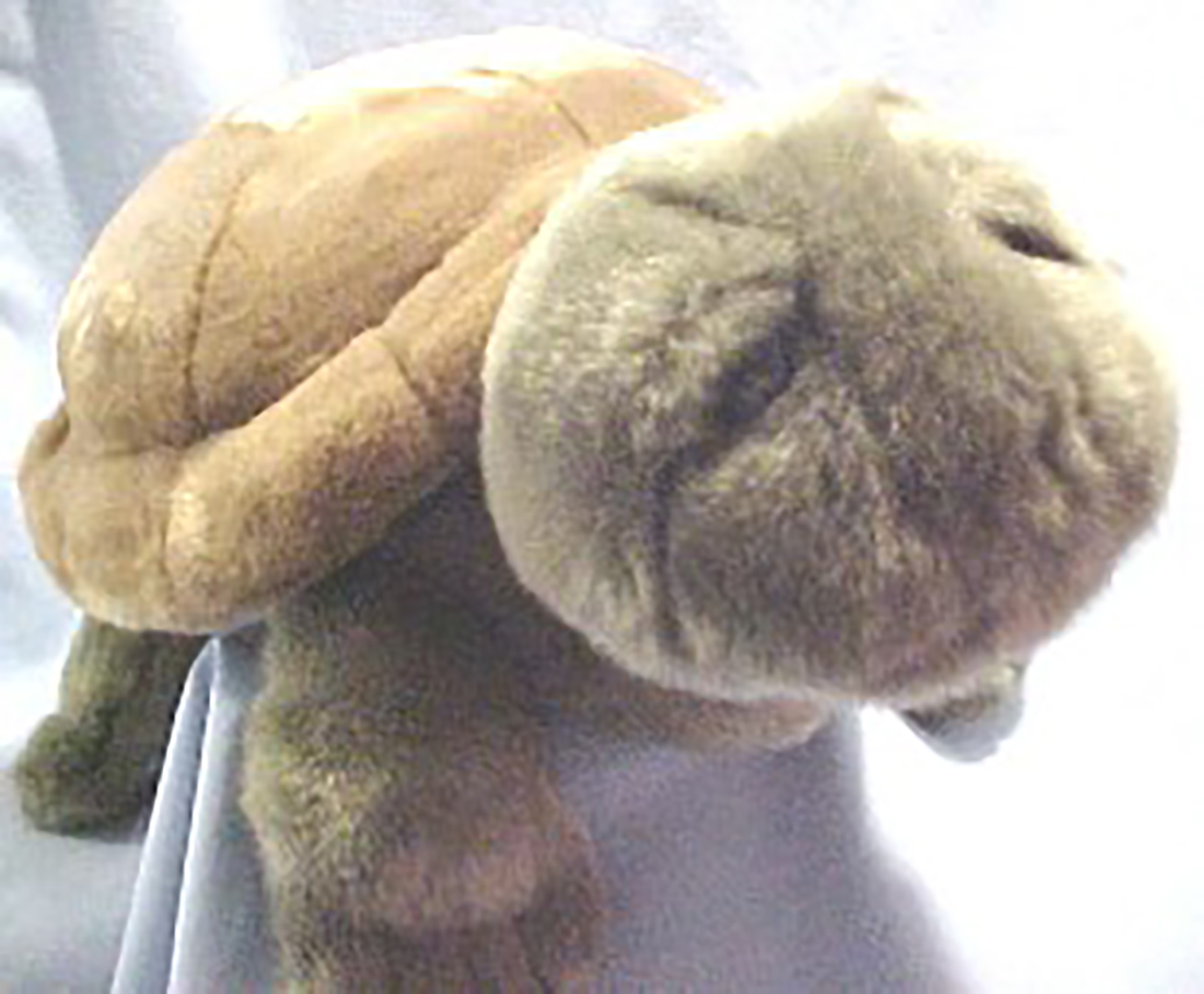 Lou Rankin the sculptor who created realistic life-like sculptors of wild life teamed up with Dakin and created a beautiful line of plush stuffed animal Turtles.