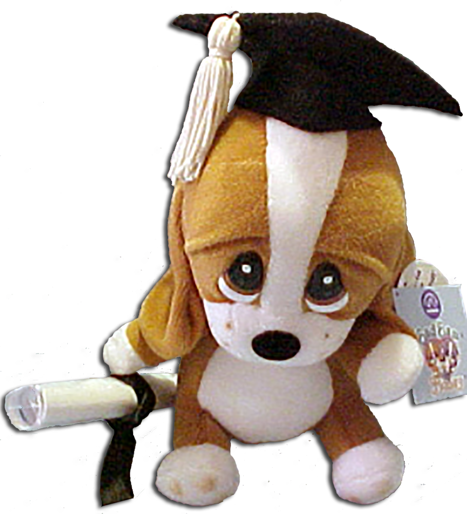 Graduation Plush Sad Sam with Personable Diploma Basset Hound Stuffed Animal
- Sad Sam diploma can be personalized! He has a black cap with white tassel
- made by Dakin / Applause