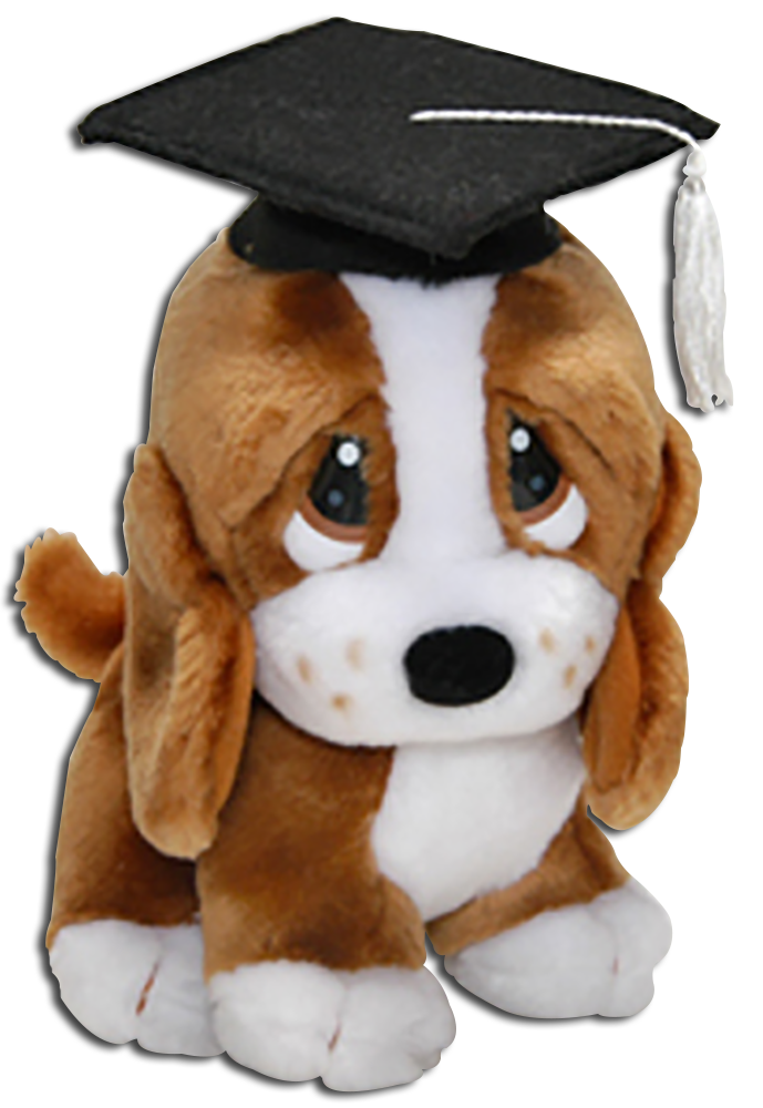 Graduation Plush Sad Sam Basset Hound Stuffed Animal
- Sad Sam is wearing a black cap with white tassel
- made by Dakin / Applause