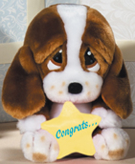 Sad Sam and Honey want to wish that special someone Congratulations Basset Hound style as these cuddly soft plush stuffed animal toys